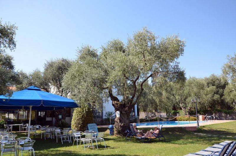 Villa Elia Thassos Exteriör bild